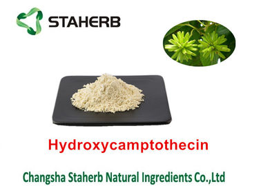 China Camptothecae Acuminatae Pure Natural Plant Extracts Hydroxycamptothecin 98% supplier