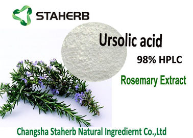 Ursolic Acid Pure Natural Plant Extracts Loquat Leaf / Rosemary Extract Cosmetics supplier