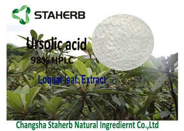 Ursolic Acid Pure Natural Plant Extracts Loquat Leaf / Rosemary Extract Cosmetics supplier