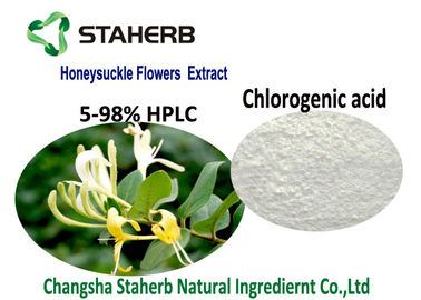 Organic Natural Cosmetic Ingredients , Honeysuckle Flower Extract Chlorogenic Acid 5-98% CAS 327 97 9 supplier