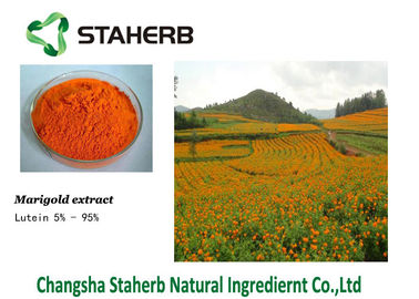 Lutein 127-40-2 Marigold Extract concentrated plant extract Colorant supplier