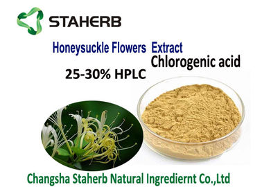 Water Soluble Honeysuckle Flowers Chlorogenic Acid Powder 5-25% HPLC CAS 327 97 9 supplier