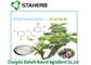 Natural Vine Tea Ampelopsis Grossedentata Extract Dihydromyricetin DMY Powder supplier