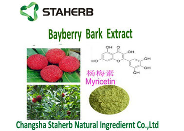 Antioxidation Bayberry Bark Powder Extract Yellow Green Color Myricetin 50%-98% supplier