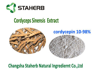 10- 98% Cordycepin Natural Organic Cordyceps Extract Powder CAS 73 03 0 supplier