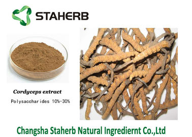 Mushroom extract Cordyceps extract Polysaccharides Male Enhancement Powder supplier