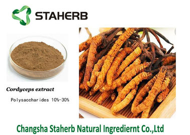 Mushroom extract Cordyceps extract Polysaccharides Male Enhancement Powder supplier