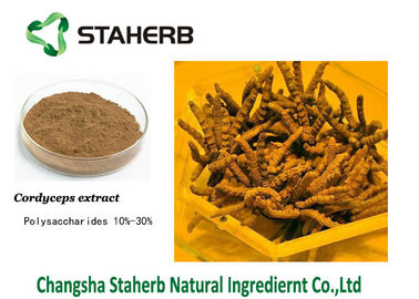 Mushroom extract Cordyceps extract Polysaccharides Male Enhancement Powder supplier