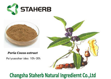 Brown Powder Poria Cocos Extract Standard Reference Material Anti - Lung Cancer supplier