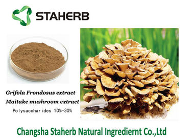 Antibacterial plant extracts Maitake Mushroom Extract  30% Polysaccharides supplier