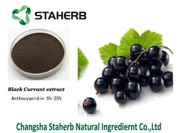 Black Currant Fruit Concentrated Plant Extract Powder Berry Anthocyanin Anti - Aging supplier