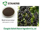 Black Currant Fruit Concentrated Plant Extract Powder Berry Anthocyanin Anti - Aging supplier
