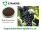 Black Currant Fruit Concentrated Plant Extract Powder Berry Anthocyanin Anti - Aging supplier