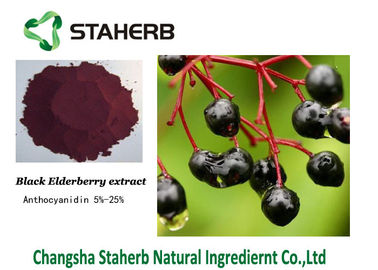 Anti-aging Elderberry Extract Concentrated plant extract Anthocyandin supplier