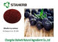 Organic Bilberry Blueberry Extract Powder Purple Color Anthocyanidin 5%-30% supplier