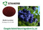 Organic Bilberry Blueberry Extract Powder Purple Color Anthocyanidin 5%-30% supplier