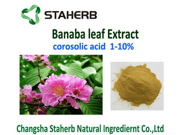 Corosolic Acid Weight Losing Raw Materials , Banaba Leaf Extract Powder HPLC Test supplier