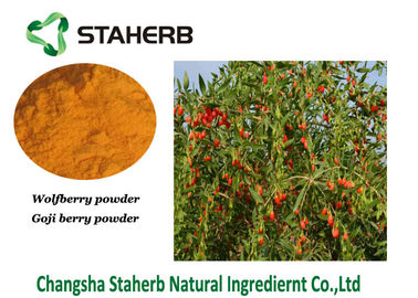 Wolfberry Vegetable Extract Powder , Goji Berry Extract 50% Polysaccharide supplier