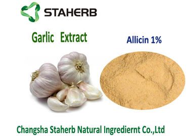 Natural Poultry Feed Ingredients Garlic Allicin Powder Allicin 1% Bactericidal supplier