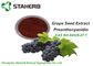 Anti Oxidant Organic Makeup Ingredients Grape Seed Extract OPC 95% CAS 84929 27 1 supplier