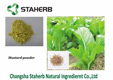 Black / White Organic Mustard Powder Wasabi Seed Part Extraction Full Nutrition supplier