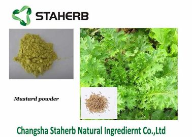 Black / White Organic Mustard Powder Wasabi Seed Part Extraction Full Nutrition supplier