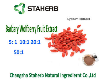 Natural Barbary Wolfberry Goji Berry Extract 4/1 10/1 Ratio Brown Powder Anti - Tumor supplier