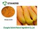 Pure Dehydrated Fruit Powder , Organic Mango Extract Powder 5%-95% Mangiferin supplier