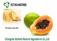 Papaya Extract Powder,Dehydrated Fruit Powder,Good For Spleen,Food additive,Drink supplier