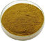Pure Nature Organic Peppermint Leaf Extract Brown Powder 10/1 Ratio By TLC supplier