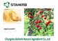 Dried Organic Apple Extract Powder Contain Polyphenols / Phloretin Lower Cancer Risk supplier