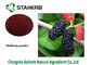 Anthocyanin Antioxidant Dietary Supplement Dehydrated Mulberry Fruit Powder supplier