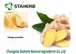Ginger Root Extract,Vegetable extract Powder,Ginger powder,Taste adjust,Flavour,Drink additive supplier