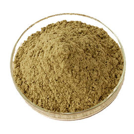 Organic Ivy Leaf Extract , Hedera Helix Extract 10% Hederacoside C Powder Brown Yellow supplier