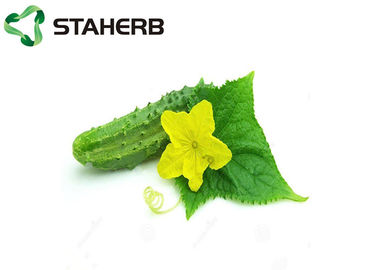 Organic Dehydrated Cucumber Extract Powder Light Green For Food / Cosmetic supplier