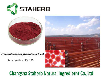 Astaxanthin Antioxidant Dietary Supplement Haematococcus Pluvialis Extract Dark Red Powder supplier