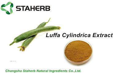 Herb Natural Cosmetic Ingredients , Cosmetics Raw Materials Luffa Cylindrica Extract 10:1 supplier