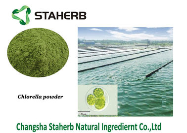 Chlorella Protein Vegetable Extract Powder Green Algae Powder supplier