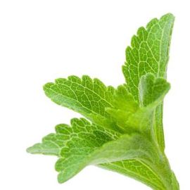 Sweetener Natural Food Additives , Stevia Leaf Extract Powder 90% 97% 98% RA / Stevioside supplier