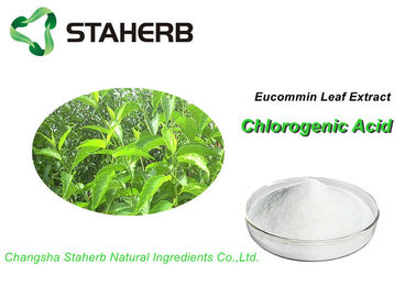 Antiphlogistic Pure Natural Plant Extracts Eucommia Extract Chlorogenic acid 5%-98% supplier