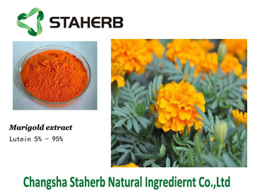 Lutein 127-40-2 Marigold Extract concentrated plant extract Colorant supplier