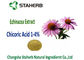 Natural Echinacea Purpurea Extract Chicoric Acid , Polyphenol , Echinacea extract supplier