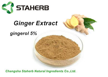 Antibacterial Plant Extract Ginger Extract gingerol 5%-95% by HPLC supplier