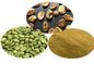 Antibacterial Anti - oxidant Green Coffee Bean Extract Chlorogenic Acid 50% lost weight supplier