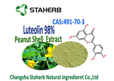 Luteolin 98% Extract From Peanuts Extract Powder 491-70-3 Herbal Plant Extract supplier