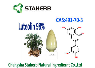 Luteolin 98% Extract From Peanuts Extract Powder 491-70-3 Herbal Plant Extract supplier