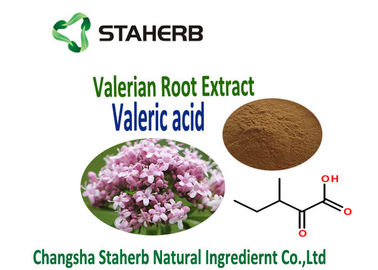 Valerian Root Extract used for Antibacterial and Antiviral Plant Extract Valearic adid supplier