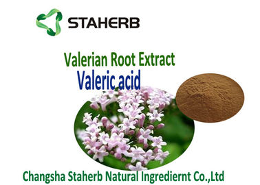 Valerian Root Extract used for Antibacterial and Antiviral Plant Extract Valearic adid supplier