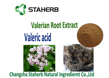 Valerian Root Extract used for Antibacterial and Antiviral Plant Extract Valearic adid supplier