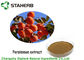 Concentrated Persimmon Extract Powder Plant Extract Kaempferol by HPLC supplier